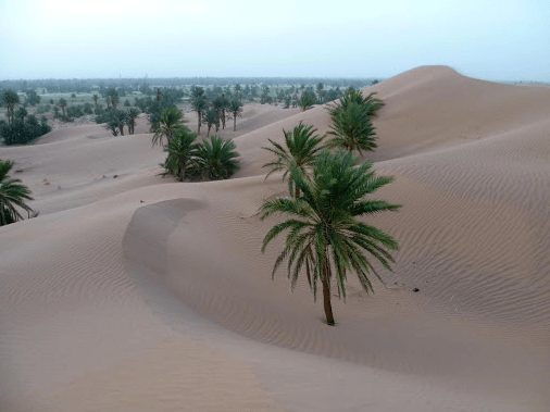 Morocco Landscape 