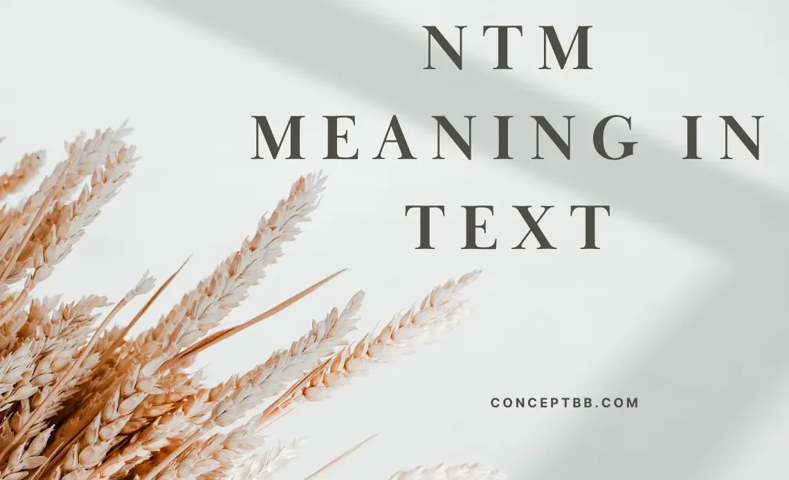 NTM Meaning in Text